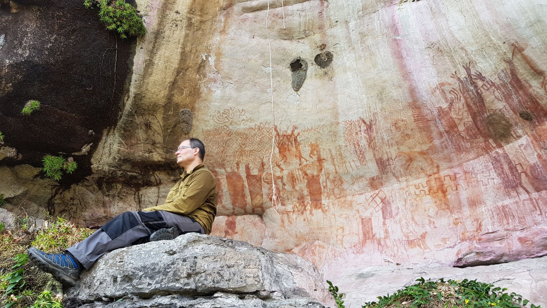 Spectacular eight-mile frieze of Ice Age beasts found in Amazon rainforest